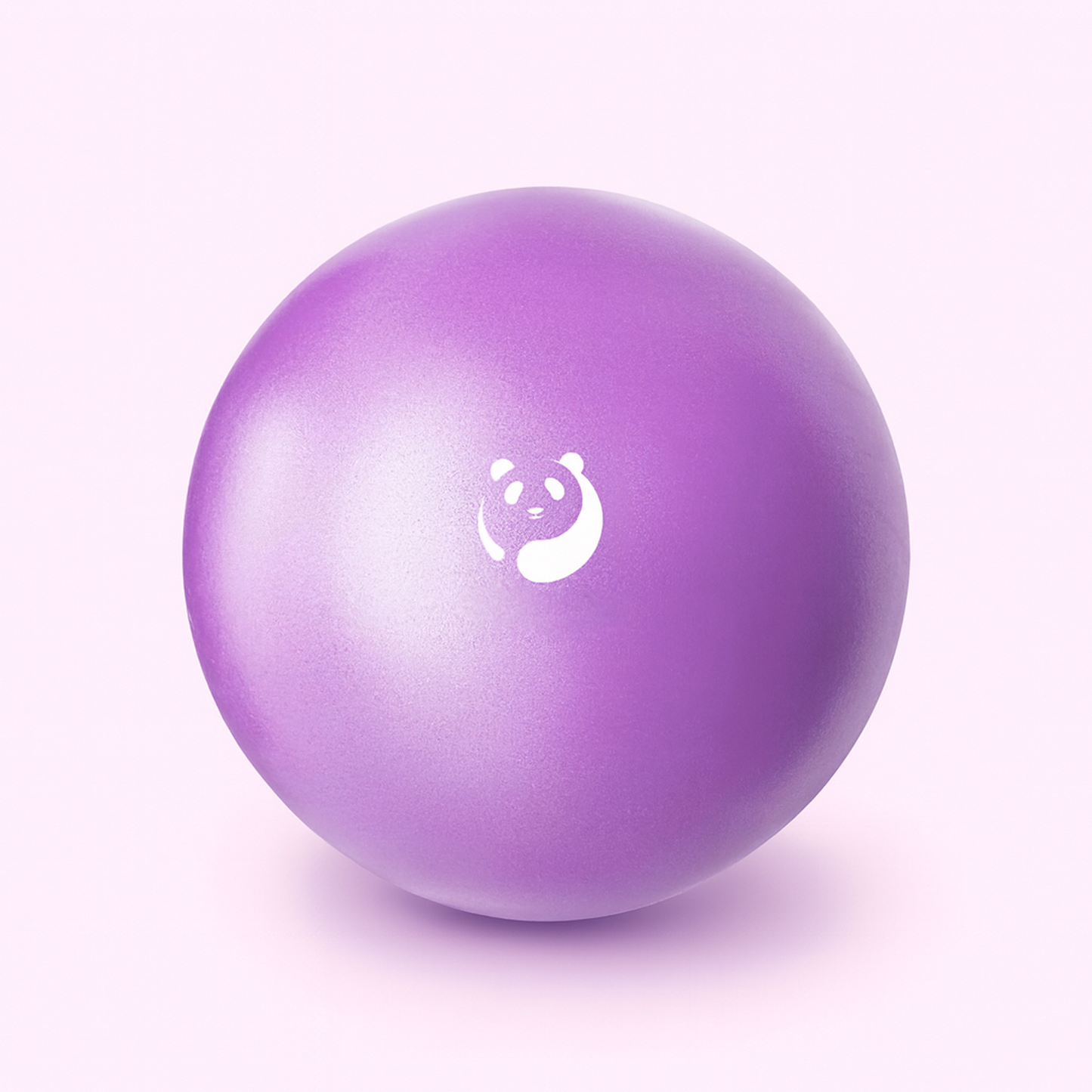 Pilates Mini Exercise Ball